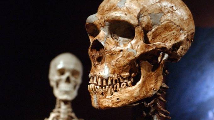 Neandertaler sind aufrecht gegangen