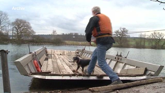 Aareinsel Fähre erhält endlich Bewilligung