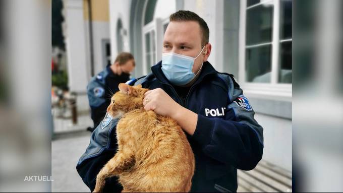 Stadtpolizei Baden und Kajakfahrer retten eine Katze