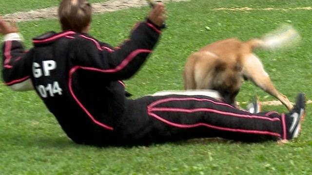 Hunde-Mondioring Schweizermeisterschaft in Unterkulm
