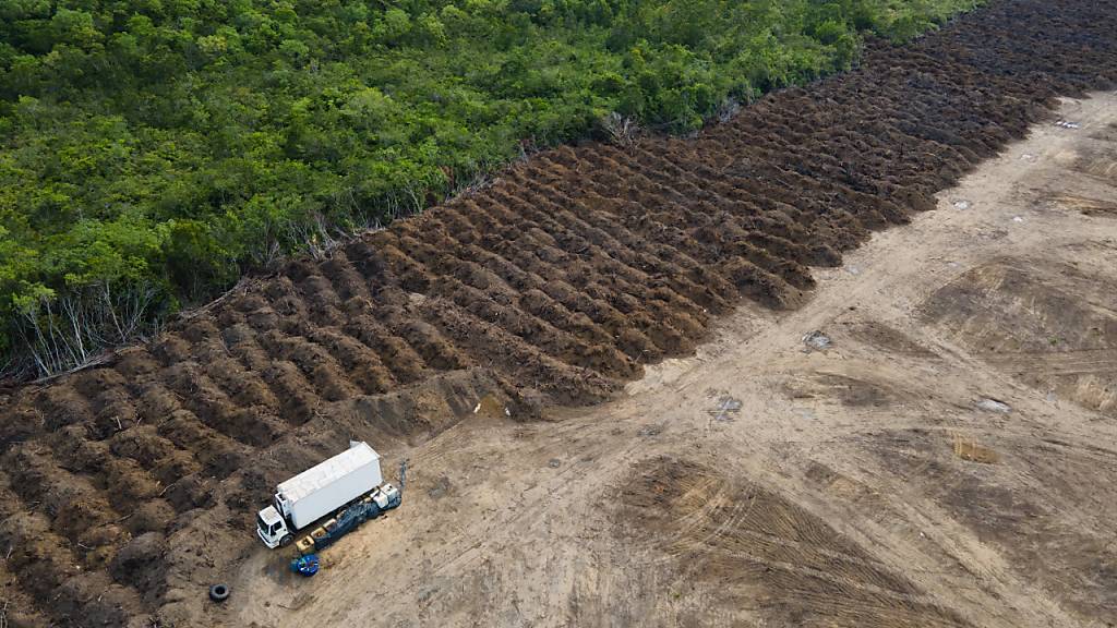 ARCHIV - Nach Angaben des Nationalen Instituts für Weltraumforschung war die Rodung im  Amazonasgebiet im Februar 2022 im Vergleich zu den Februarmonaten seit 2015 auf einem Rekordhoch. Dies ergab die Auswertung von vorläufigen Zahlen. Foto: Fernando Souza/ZUMA Press Wire/dpa