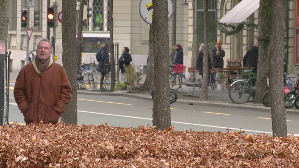 Bürgerliche in guter Position - Politanalyst zu den Parlamentswahlen