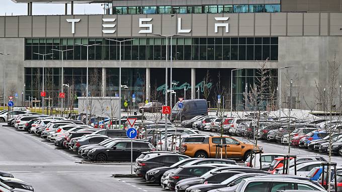 Aktivisten bekämpfen Räumung des Tesla-Camps bei Berlin juristisch