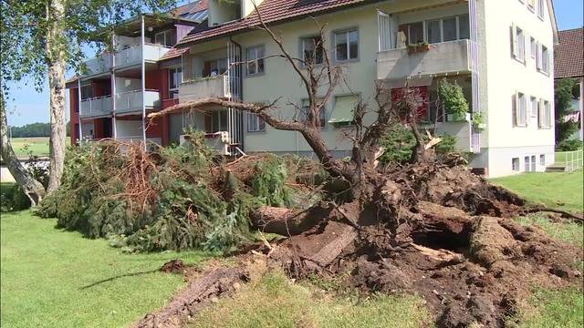 Gewitterschäden in Köniz