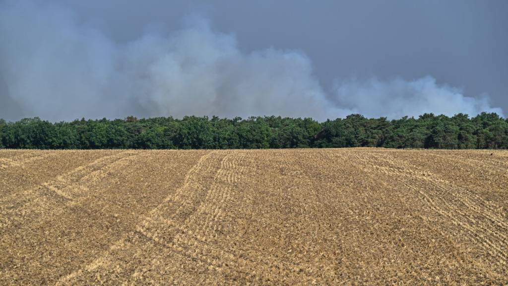 Bei Waldbränden im historischen Wald von Fontainebleau, etwa 60 km südlich von Paris steigen Rauchwolken in den Himmel. Foto: Emma Da Silva/AP/dpa