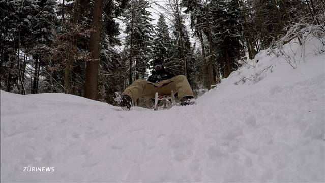 Schlittelspass am Üetliberg