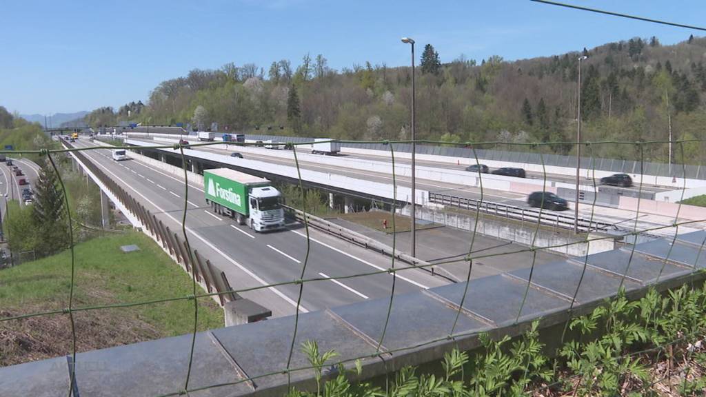 Weniger Wald: Warum wurden rund um den Bareggtunnel so viele Bäume gefällt?