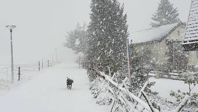 So schön sind die Schneebilder der FM1-Community