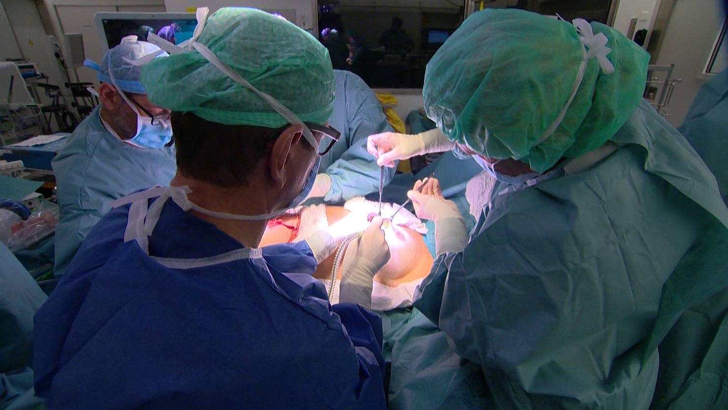 Diagnose Brustkrebs Teil 1 TeleM1