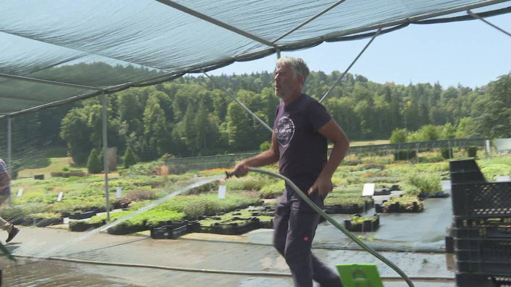 Pumpe ausgefallen: In Schafisheim muss man jetzt noch strikter Wasser sparen