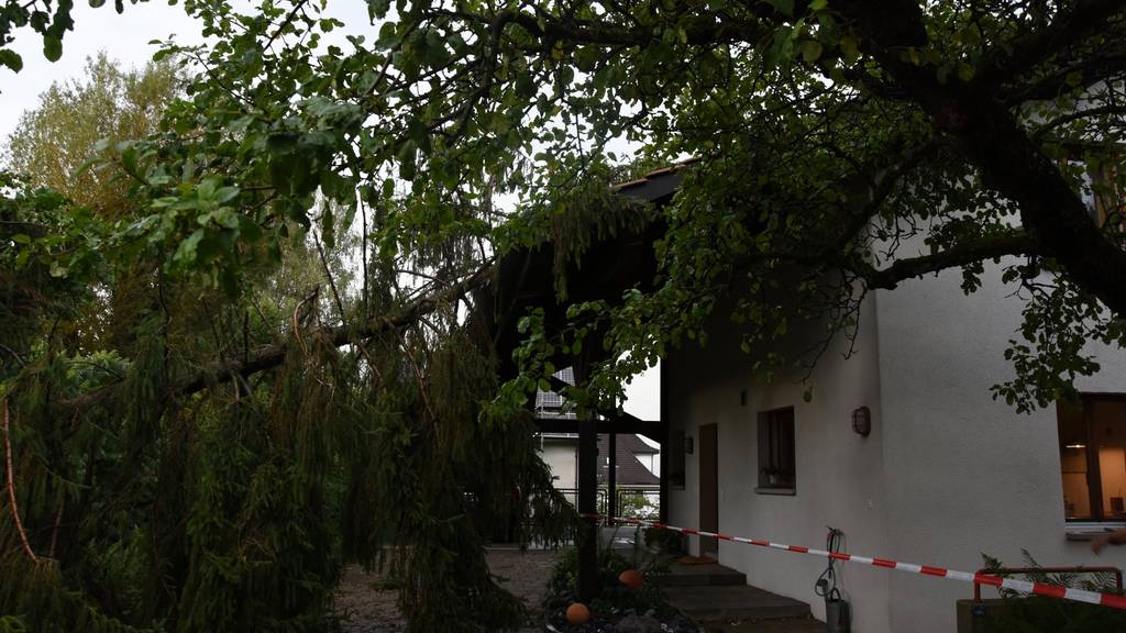 Das vom Baum getroffene Uzwiler Haus. (Bild: Kapo SG)