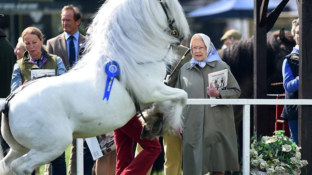 Pferdeliebhaberin Königin Elizabeth während einer Vorführung der Windsor Pferdeschau vor zwei Tagen