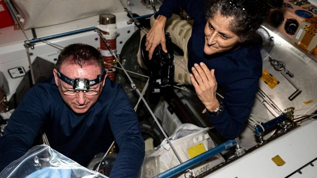 HANDOUT - Suni Williams und Barry «Butch» Wilmore sollten nur gut eine Woche an Bord der Internationalen Raumstation ISS verbringen. Foto: ---/NASA/AP/dpa - ACHTUNG: Nur zur redaktionellen Verwendung und nur mit vollständiger Nennung des vorstehenden Credits