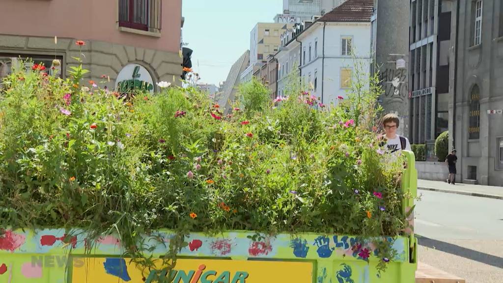 Stadtgrün leidet unter Hitzesommer: Städte wie Biel ergreifen Massnahmen