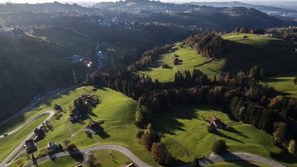 Der Schwyzer Regierungsrat will künftig auch ausserhalb der Bauzonen eine klare Trennung zwischen Wald und Nicht-Wald. (Symbolbild)