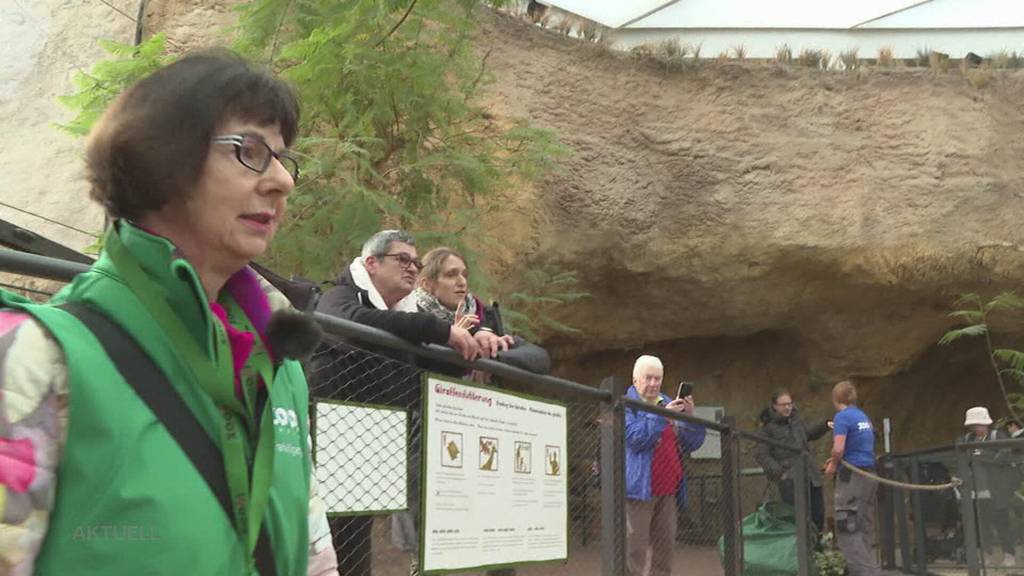 Ehrenamtlich: AG und SO-Seniorin geben im Zoo Zürich tierisches Wissen weiter