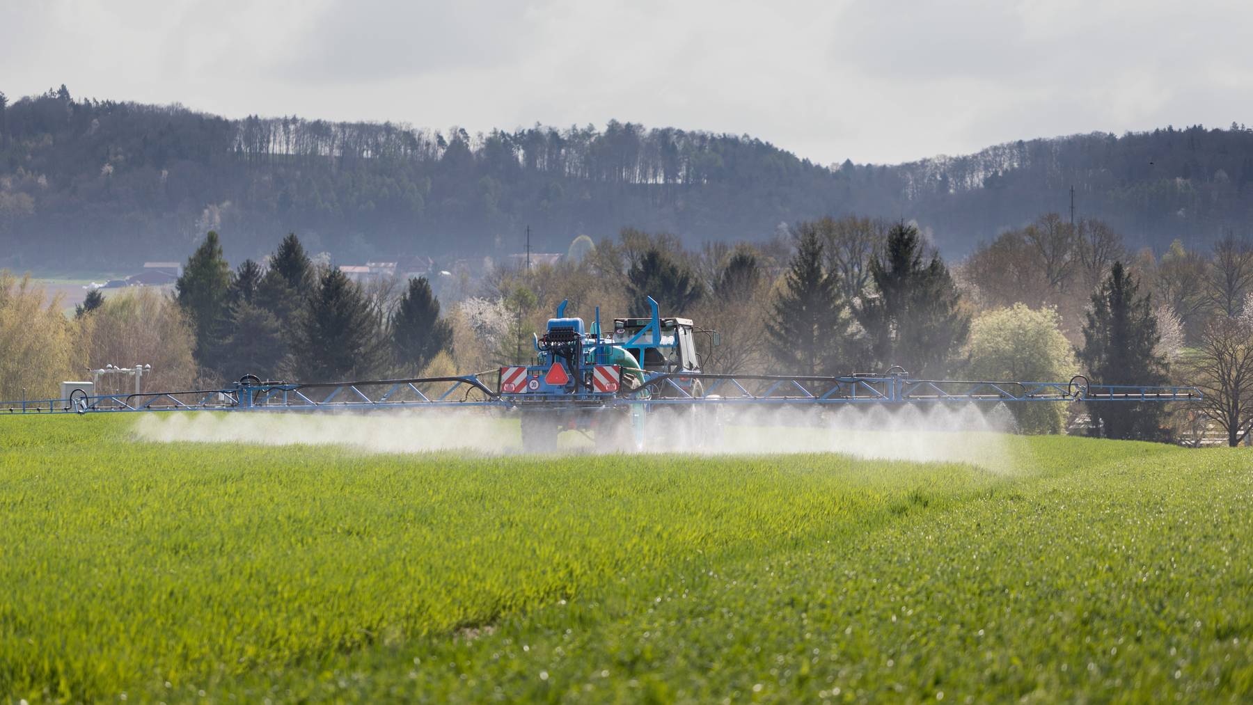 Heute können Pestizide hierzulande teilweise noch verwendet werden, obwohl sie in der Europäischen Union bereits verboten sind.