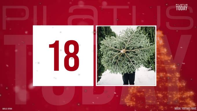 Türchen 18: Alles rund um den Weihnachtsbaum