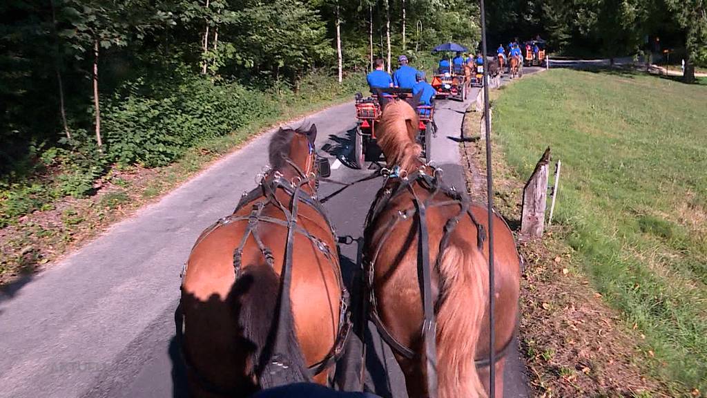 Königsetappe: Wir begleiten die Aargauer Delegation auf dem Weg ans Pferdefest