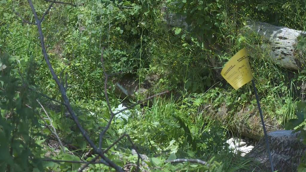 Mutmasslicher Täter von Tötungsdelikt in Escholzmatt gestorben