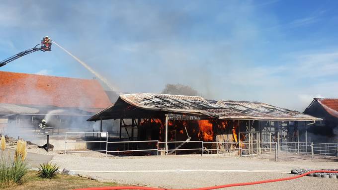 Grossbrand in Thurgauer Pferdestall