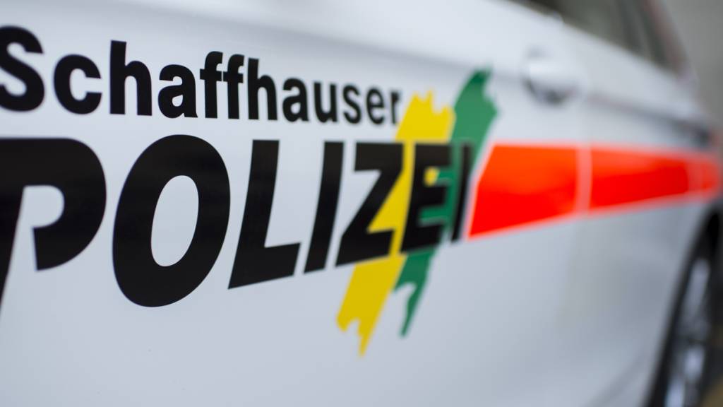 Glimpflich ausgegangen ist am Ostermontag ein Küchenbrand im schaffhausischen Thayngen: Niemand wurde verletzt. (Archivbild)