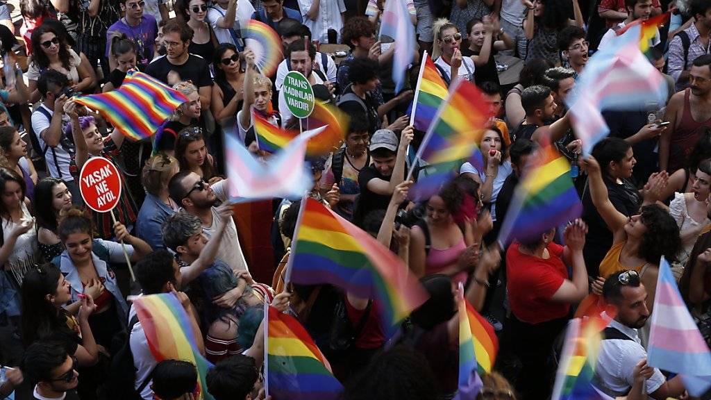 Mit Regenbogenfahnen ausgestattet, wurde in Istanbul für die Rechte von Homosexuellen demonstriert.
