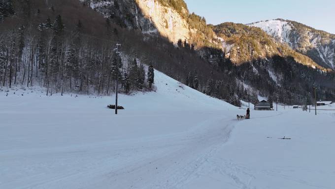 Vorschau «Mis Hobby»