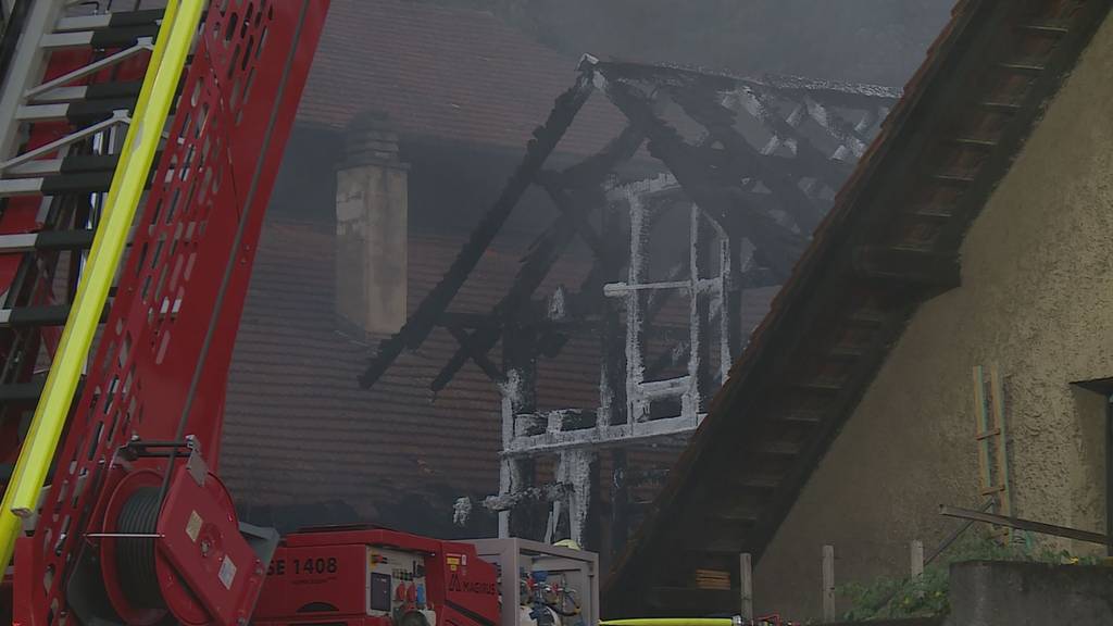Vier Feuerwehrleute verletzt