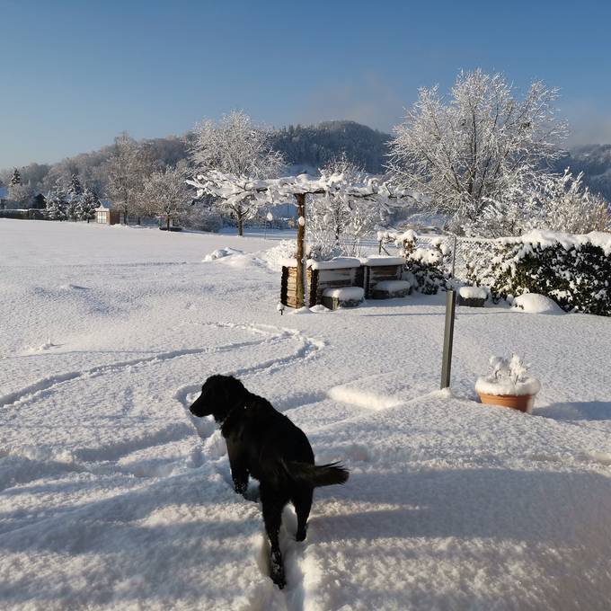 Bis zu 45 Zentimeter Neuschnee