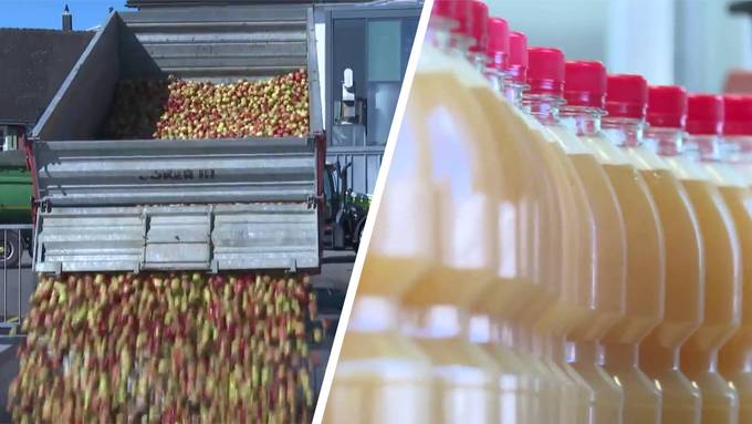 So kommt der Apfel in die Flasche