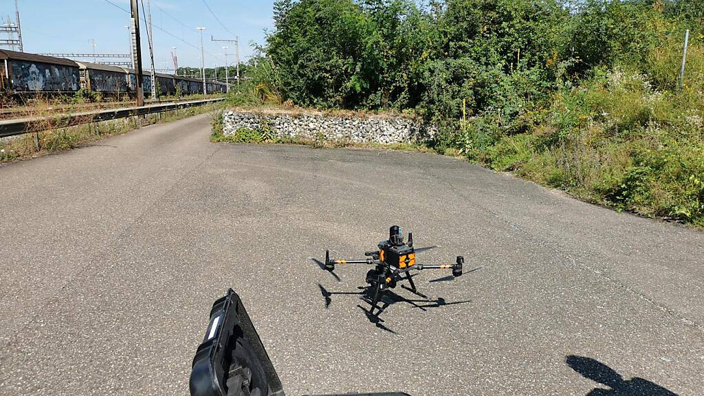 Mit Drohnen sollen invasive gebietsfremde Pflanzen einfacher und günstiger aufgespürt werden.