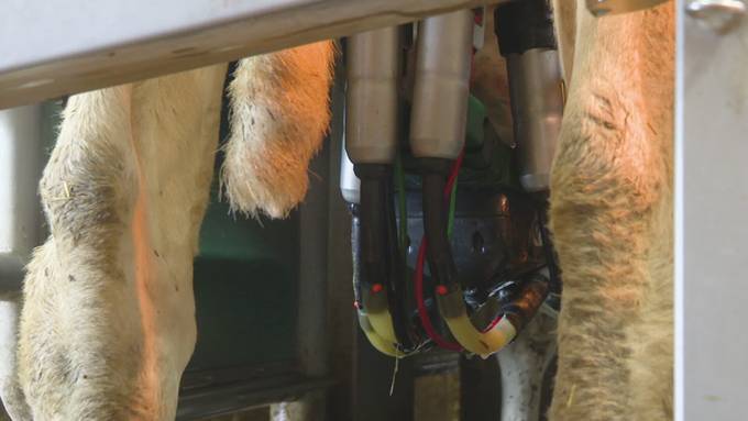 Neue Ausbildung für moderne Landwirtschaft