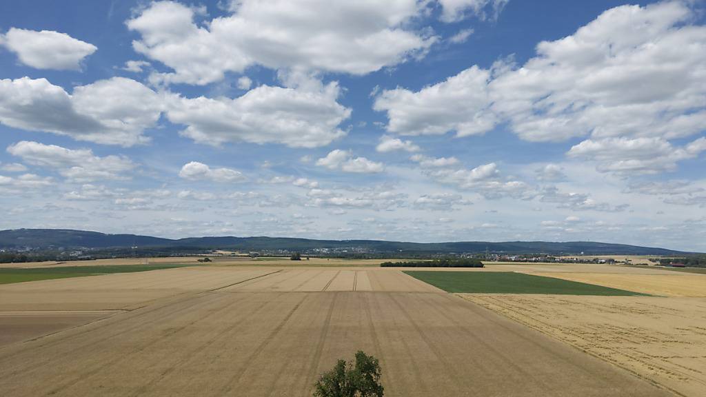 Neben Unwettern im Sommer machte auch die Trockenheit der Landwirtschaft in diesem Jahr zu schaffen. (Symbolbild)