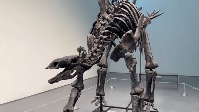 Unbekannte Person kauft Dino-Skelett für fast 45 Millionen Dollar