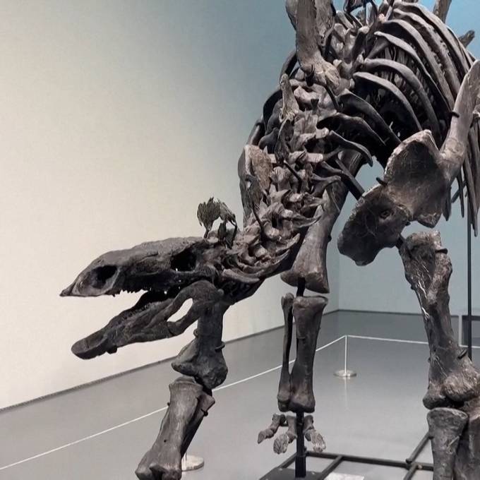 Unbekannte Person kauft Dino-Skelett für fast 45 Millionen Dollar