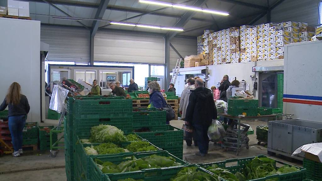 Salat für einen Franken: Ansturm auf Hofladen in Wohlenschwil