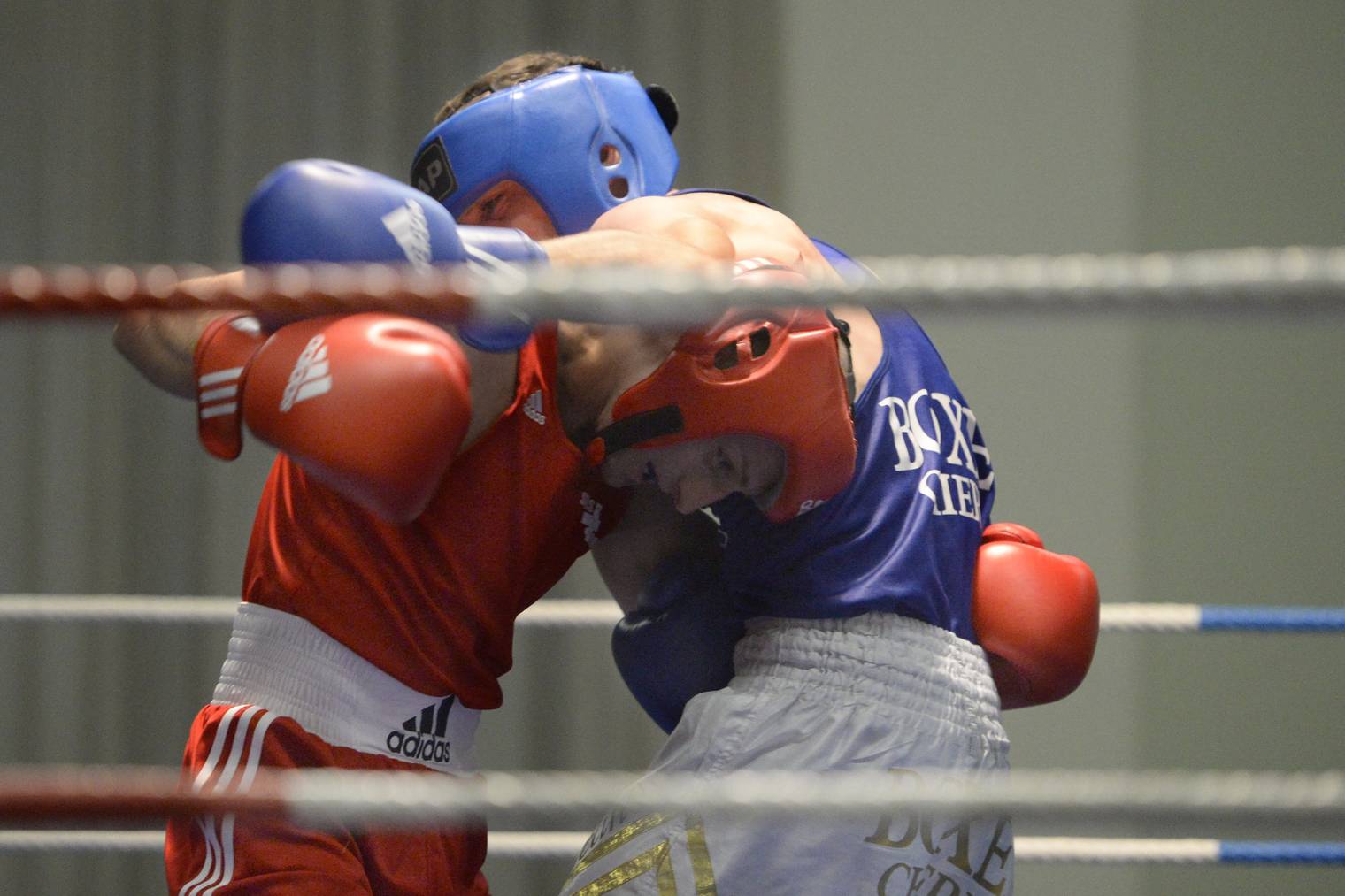 Im Athletik Zentrum St.Gallen finden regelmässig Boxkämpfe statt. (Archivbild: Tagblatt/Benjamin Manser)