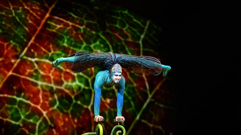 Cirque du Soleil - OVO