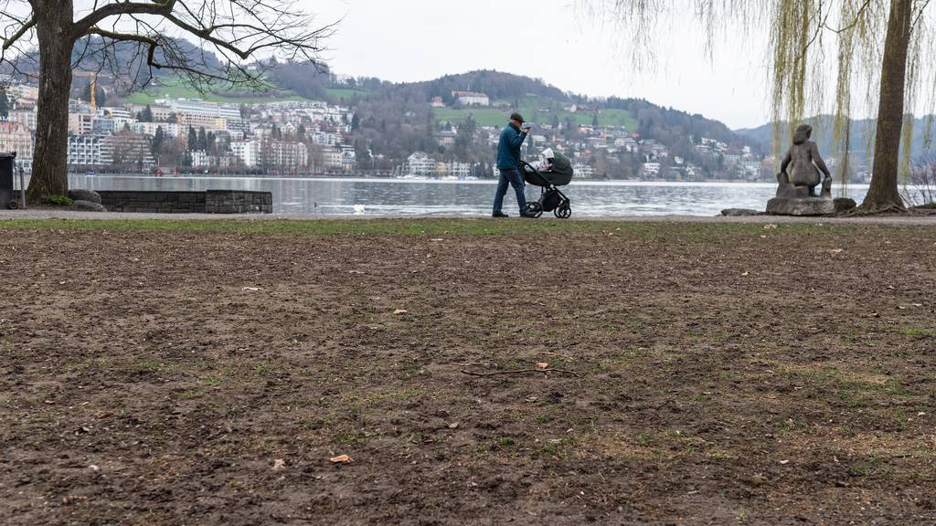 Neues Gras für Luzern: Wiese beim Inseli muss ersetzt werden
