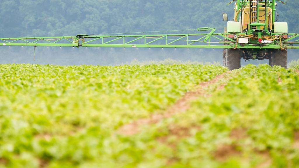 Umstrittener Unkrautvernichter: Glyphosat wird in der EU weitere zehn Jahre zugelassen. (Archivbild)