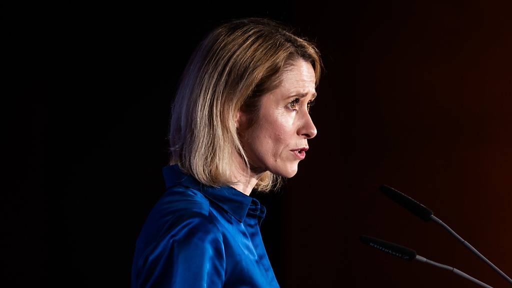 EU-Chefdiplomatin: Rüstungsgüter nicht nur in USA kaufen