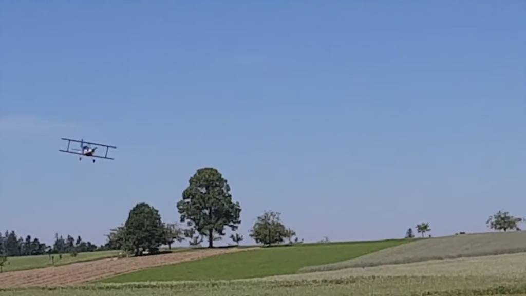 Der Traum vom Fliegen im kleinen Rahmen - Modellflugzeuge