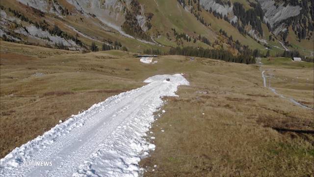 Kein Schnee mehr?