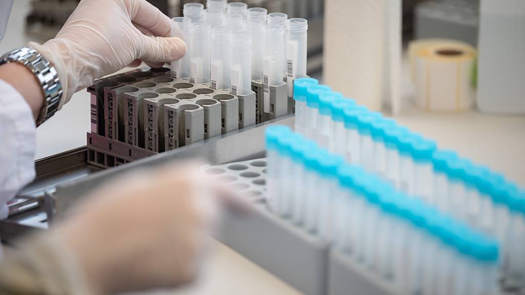 ARCHIV - Eine Labormitarbeiterin bereitet im Bioscientia MVZ Labor Mittelhessen Teströhrchen für einen PCR-Test vor. Foto: Sebastian Gollnow/dpa