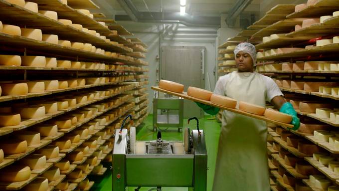 Milchmanufaktur / Premium-Schokolade / Ratgeber für Vermieter