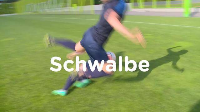 Schwalbe