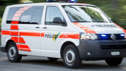 Vermögensdelikte in Schaffhausen haben um einen Viertel zugenommen