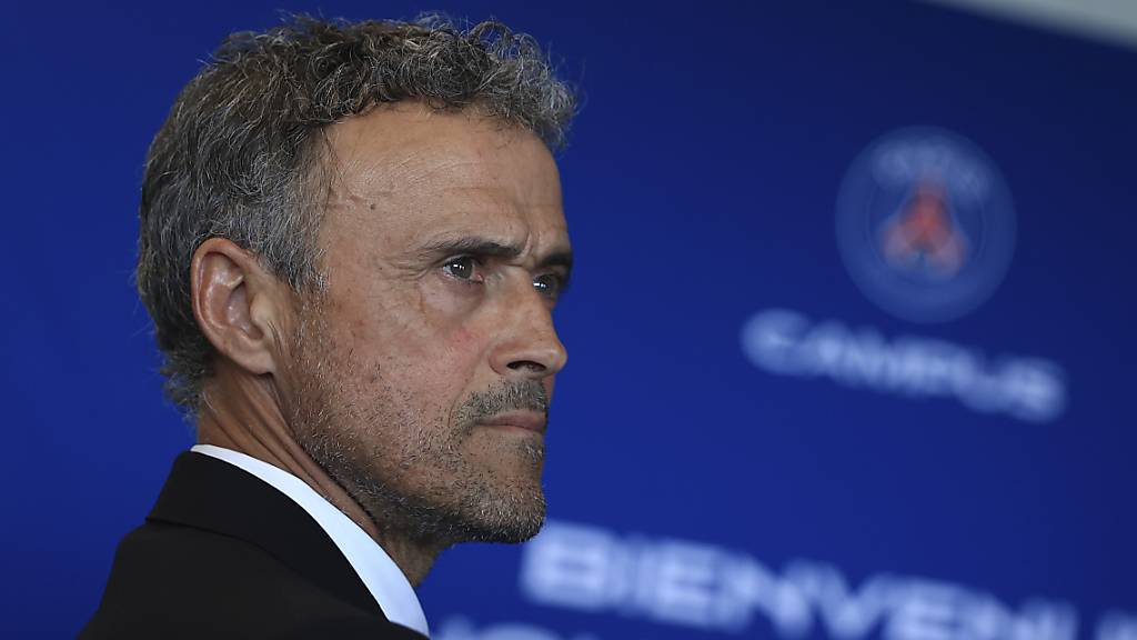 Luis Enrique ist der neue Coach von Paris Saint-Germain