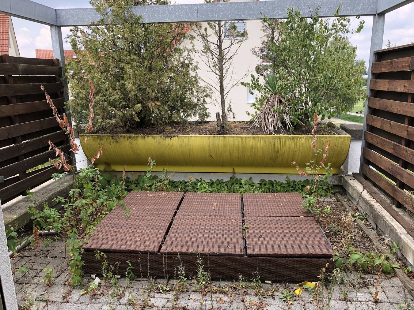 51_Patrick_Dübendorf